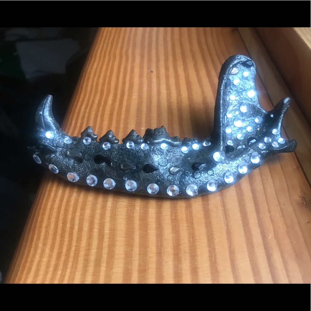Jeweled jaw - Picture 2 of 5
